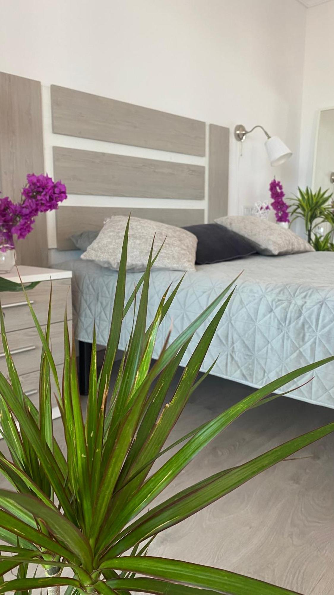 Apartment Anna Benidorm Eksteriør bilde